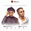 Kiss Daniel Sugarboy Molue
