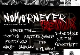 DJ Switch Now Or Never Remix