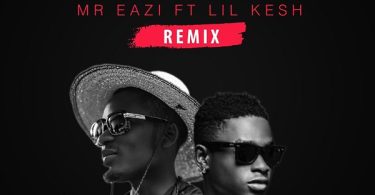 Mr Eazi Sample You Remix