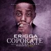 Erigga Coporate