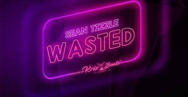 Sean Tizzle Wasted