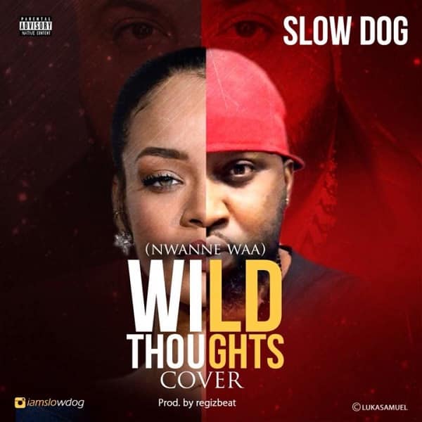 SlowDog Nwanne Waa (Wild Thoughts Cover) Artwork