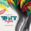 Samini Wet Again Artwork
