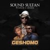 Sound Sultan Geshomo Artwork