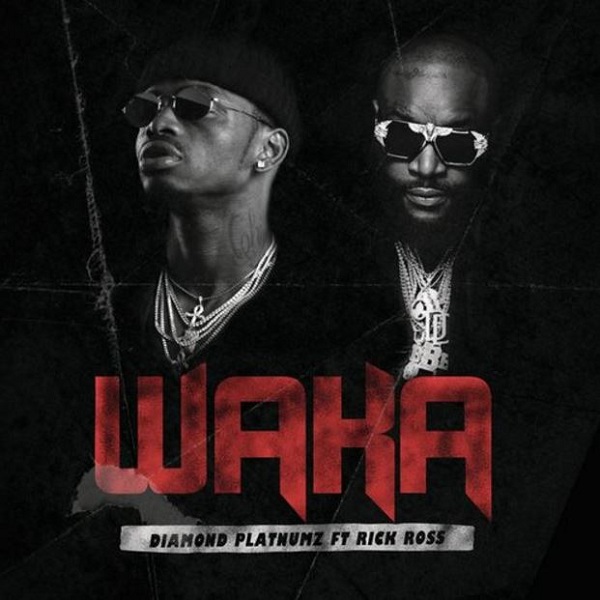 Tokeo la picha la diamond waka ft rick ross