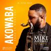 Mike Aremu Akowaba Artwork