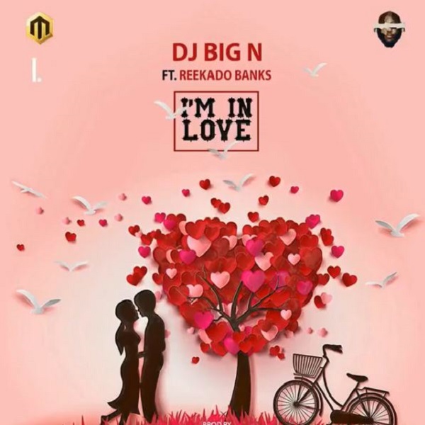 DJ Big N I’m In Love Artwork