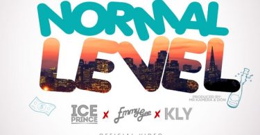DJ Kaywise Normal Level Video