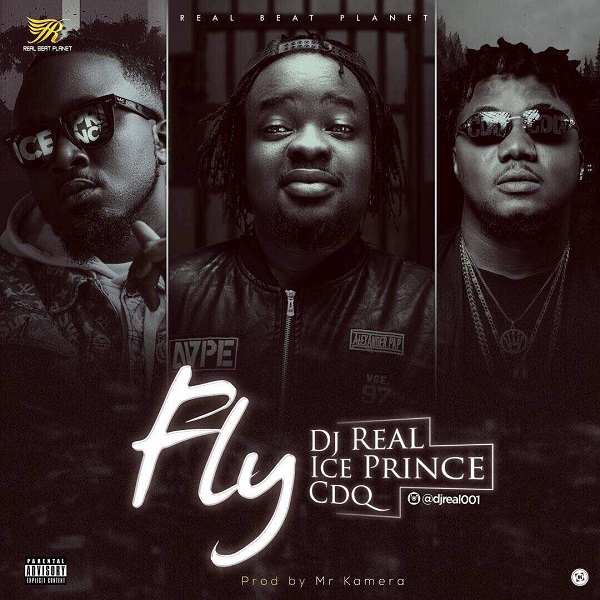 DJ Real Fly
