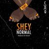 CDQ Shey Normal Artwork