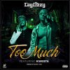 Laylizzy Too Much Artwork