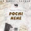 Rayvanny Pochi Nene