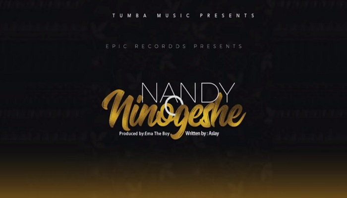 Nandy Ninogeshe