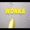 Victoria Kimani Wonka Video