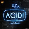 D’Banj Agidi Artwork