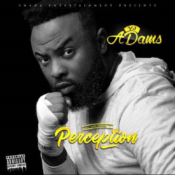 VJ Adams Perception Album Artwork