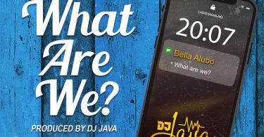 DJ Java What Are We Artwork