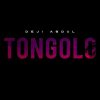 Deji Abdul Tongolo Artwork