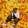 Itz Tiffany Cotelydon Artwork