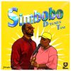 D’Tunes Simbobo Artwork