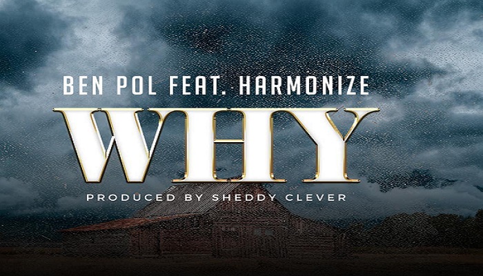 Ben Pol Why Artwork