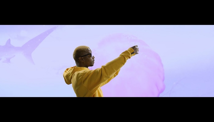 OkMalumKoolkat Shark Attack Video