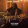 Waje Kponlongo Video