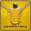 Mampintsha Phakamisa Artwork