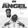 Seriki Angel Artwork