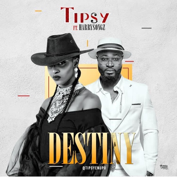 Tipsy Destiny Artwork