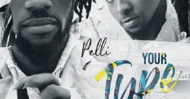 Download mp3 Pelli ft Davido Your Type mp3 download
