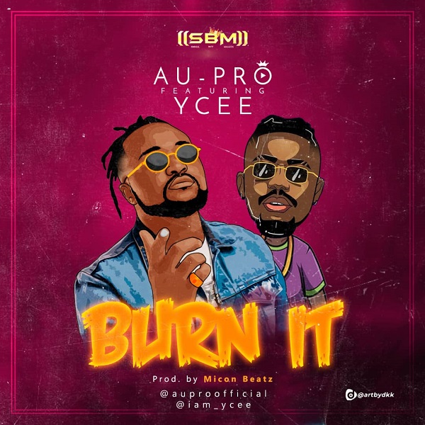Au Pro ft Ycee Burn It