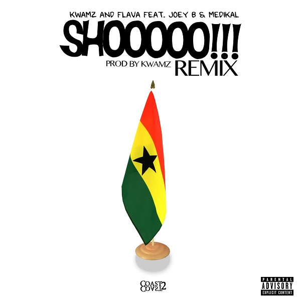 Kwamz And Flava Shooo (Remix)