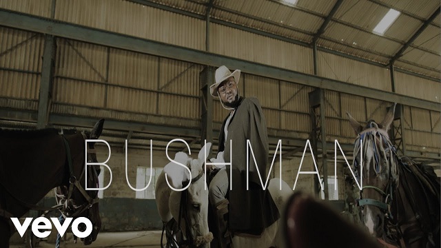 Dr Dolor Bushman Video