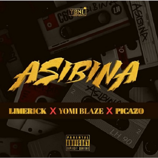 Limerick Asibina