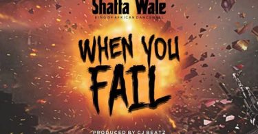 Shatta Wale When You Fail