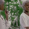 Toby Grey Show Glass (Remix) Video