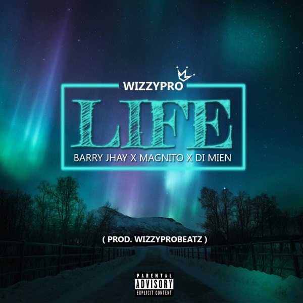 WizzyPro Life