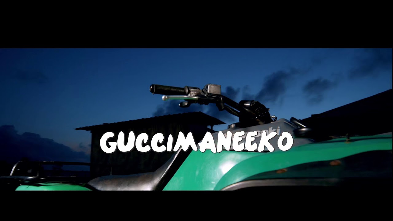 Guccimaneeko no salary