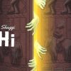 Broda Shaggi Shi