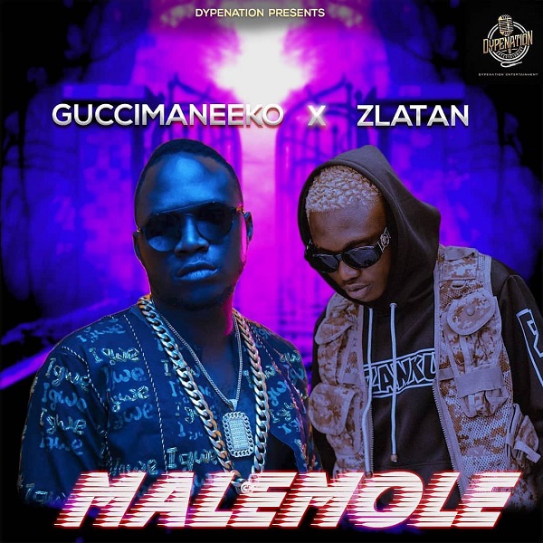 Guccimaneeko Malemole