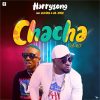 Harrysong Chacha (Remix)