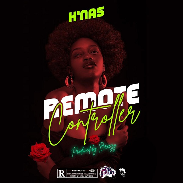Knas Remote Controller