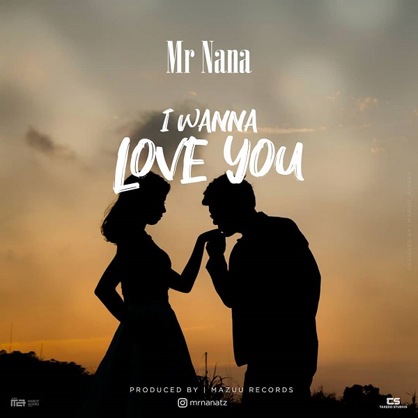 Mr Nana I Wanna Love You