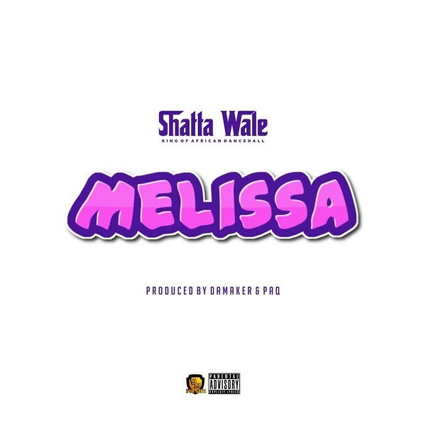 Shatta Wale Melissa