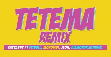 Rayvanny Tetema Remix