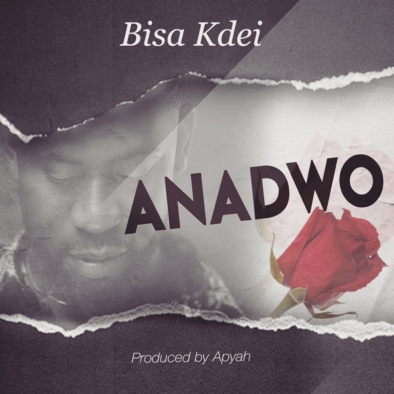 Bisa Kdei Anadwo