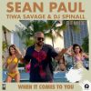 Sean Paul When It Comes To You Remix