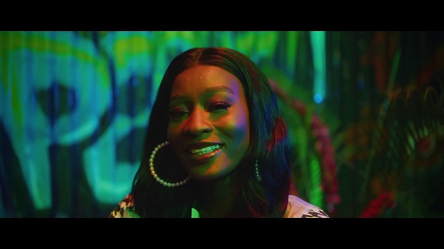 IVD 2 Seconds Video