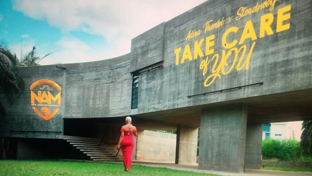Adina Take Care Of You Video